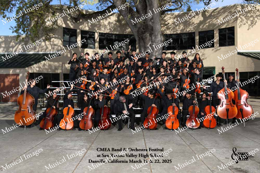 Musical Images